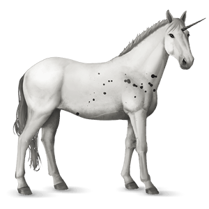 unicorno da corsa knabstrupper leopard nero