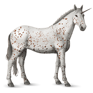 unicorno da corsa knabstrupper leopard rossastro