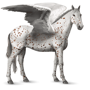 pegaso da corsa hanoverian castano
