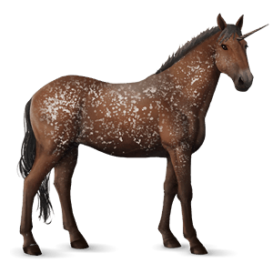 unicorno da corsa knabstrupper baio