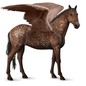 pegaso da corsa appaloosa fiocchi di neve baio