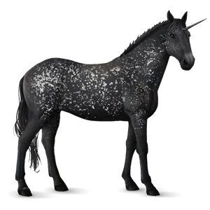unicorno da corsa selle français grigio pezzato