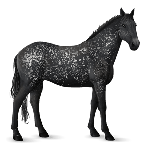cavallo da corsa mangalarga marchador tobiano pinto baio chiaro