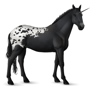 unicorno da corsa selle français baio