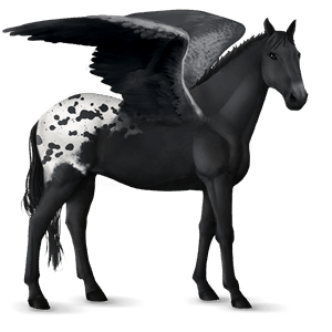 pegaso da corsa purosangue inglese cremello