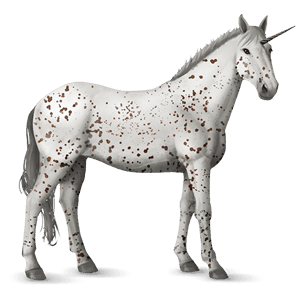 unicorno da corsa knabstrupper leopard nero