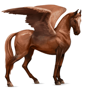 pegaso da corsa marwari nero
