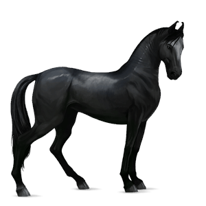cavallo da corsa paint horse tovero baio