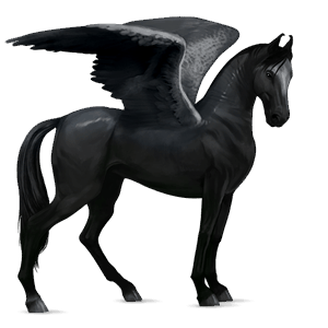 pegaso da corsa purosangue inglese baio scuro