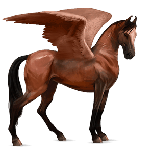 pegaso da corsa baio leopardato