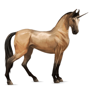 unicorno da corsa appaloosa fiocchi di neve baio