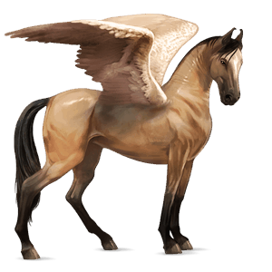 pegaso da corsa purosangue inglese nero