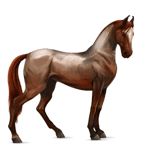 cavallo da corsa hanoverian roano rosso