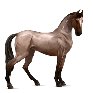 cavallo da corsa hanoverian roano