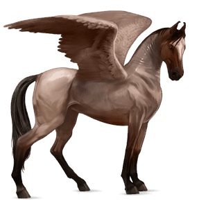 pegaso da corsa hanoverian castano scuro