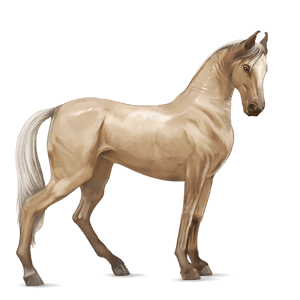 cavallo da corsa akhal-teke cremello