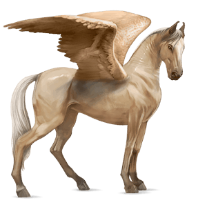 pegaso da corsa baio
