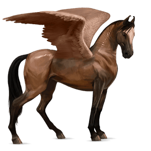 pegaso da corsa purosangue inglese baio scuro