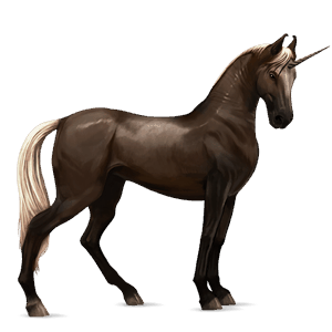 unicorno da corsa castano scuro