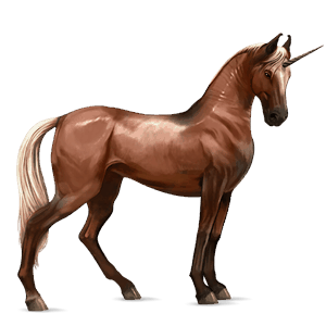 unicorno da corsa castano