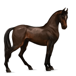 cavallo da corsa trottatore francese grigio pezzato