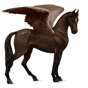 pegaso da corsa baio scuro