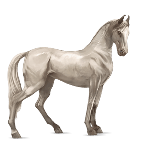 cavallo da corsa paint horse overo baio scuro