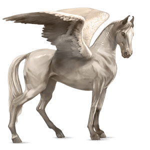 pegaso da corsa nero