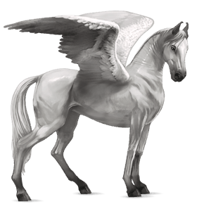 pegaso da corsa purosangue inglese grigio chiaro