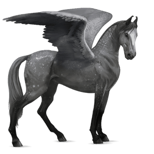pegaso da corsa purosangue inglese grigio chiaro