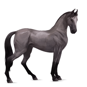 cavallo da corsa hanoverian grullo