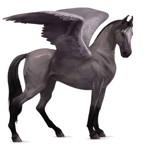 pegaso da corsa cavallo arabo grigio pezzato