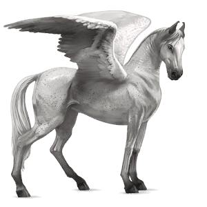 pegaso da corsa purosangue inglese grigio chiaro