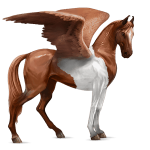 pegaso da corsa lipizzano castano scuro