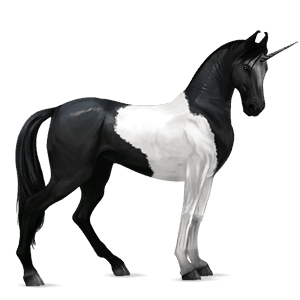 unicorno da corsa nero
