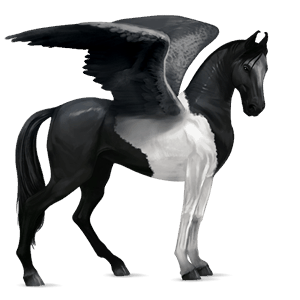 pegaso da corsa cavallo tedesco da sella nero