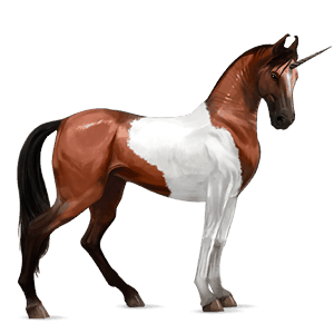 unicorno da corsa tennessee walker baio