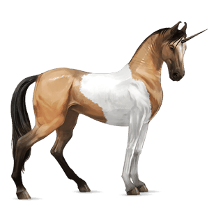 unicorno da corsa marwari tobiano daino