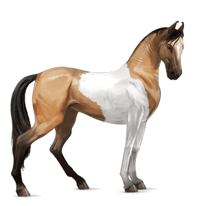 cavallo da corsa hanoverian baio rossastro
