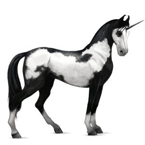 unicorno da corsa baio