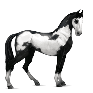 cavallo da corsa holstein baio rossastro