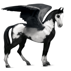 pegaso da corsa nero