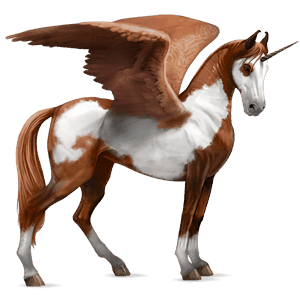 unicorno da corsa alato marwari overo pinto castano