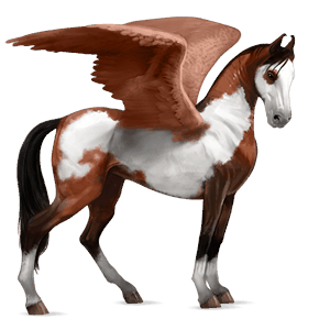 pegaso da corsa purosangue inglese baio