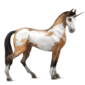 unicorno da corsa cavallo arabo grigio pezzato