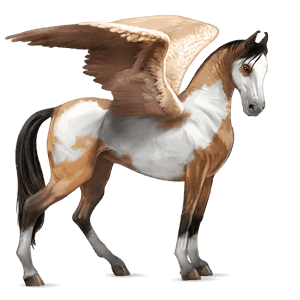pegaso da corsa akhal-teke baio rossastro
