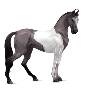 cavallo da corsa roano