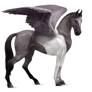 pegaso da corsa purosangue inglese grullo