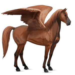 pegaso da corsa purosangue spagnolo cremello
