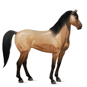 cavallo da corsa mustang daino